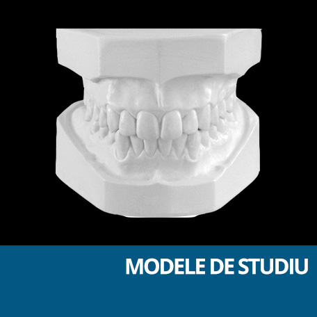 modele de studiu dentare